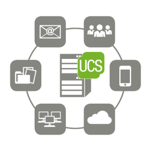 UCS with small business server functions
