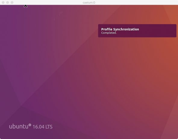 Screenshot Ubuntu profile sync completed