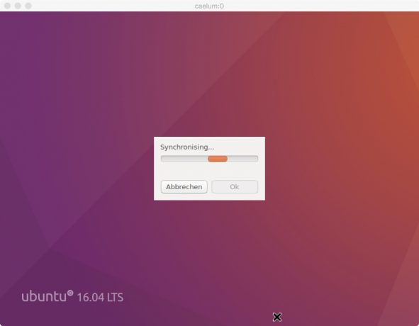 Screenshot Ubuntu sync process