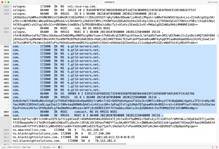 Screenshot eines Ausschnitts der DNS Root Zone